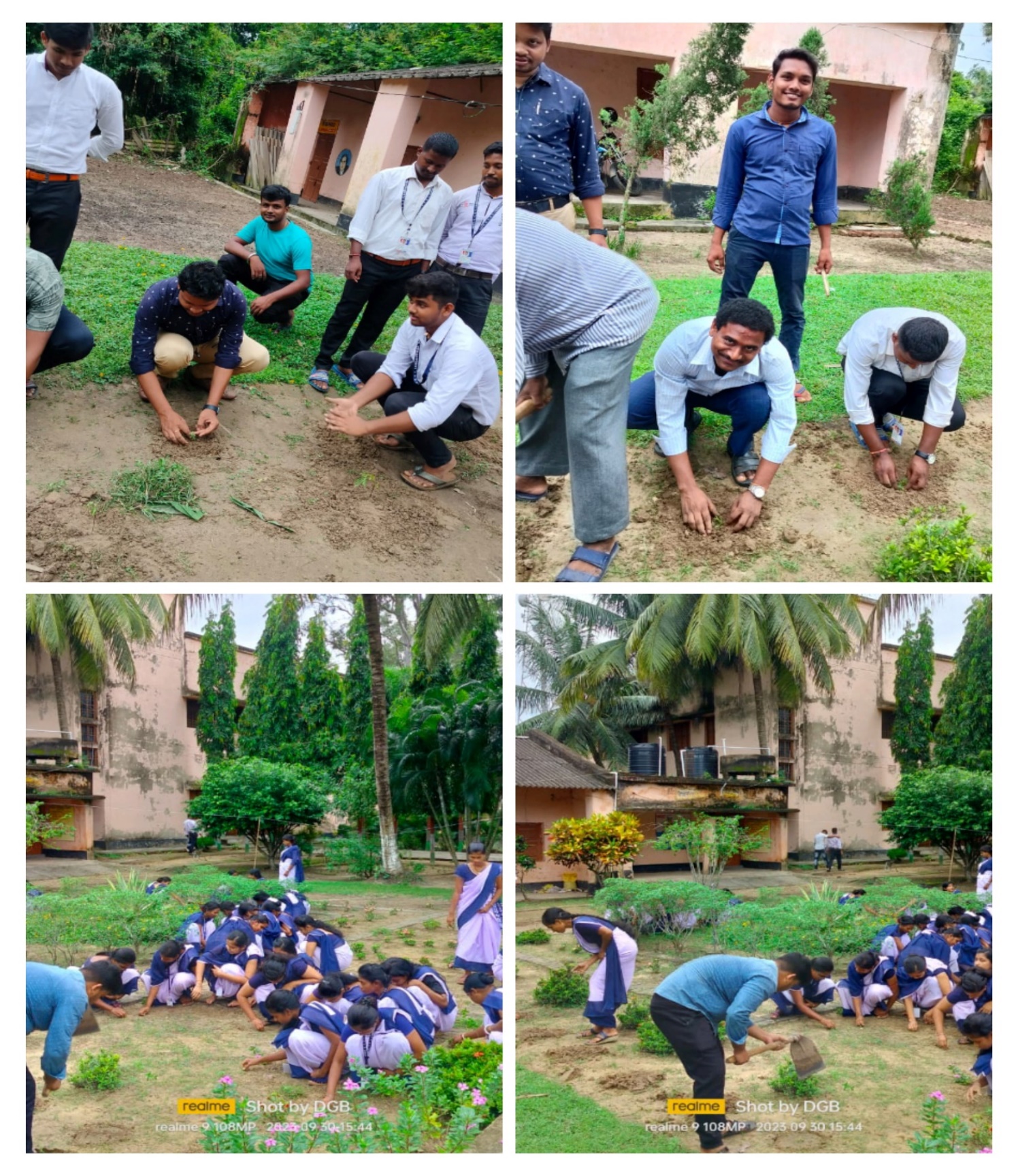 Gardening and Plantation