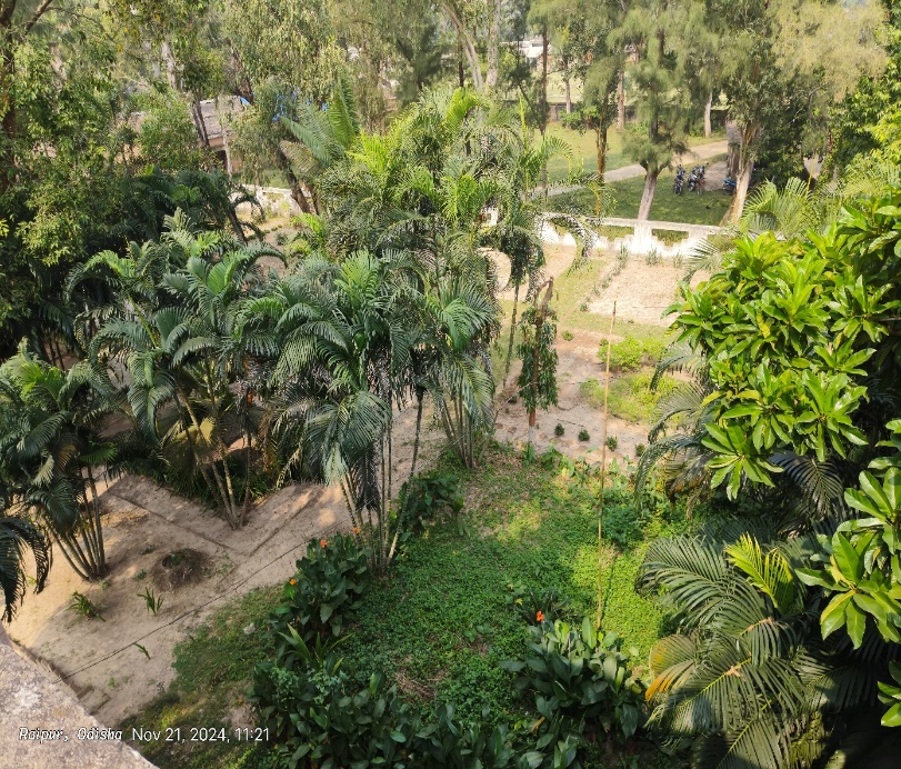 Beautiful Garden